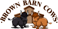 Brown Barn Cows